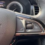 Skoda kodiaq - imagine 30