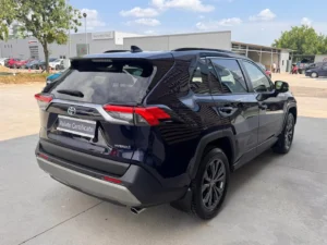 TOYOTA RAV 4 LUXURY