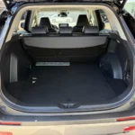 Toyota RAV4 - imagine 29